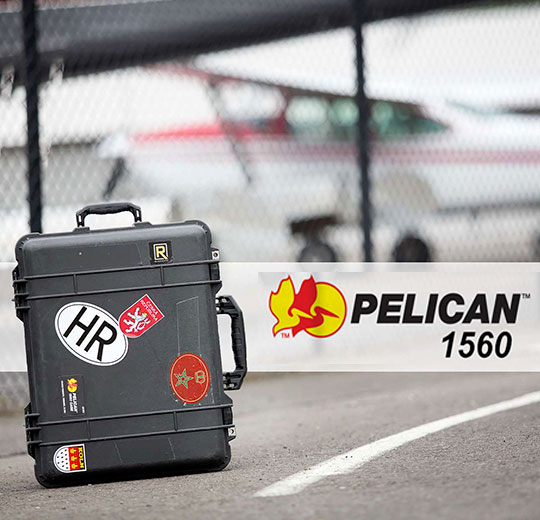 Pelican